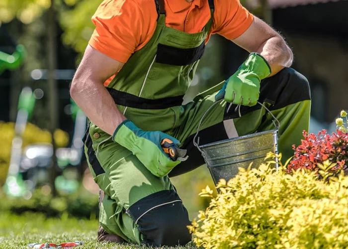 -e1707109275791-optimized